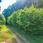 Apartment La Demeure Des Forges Grandfontaine (Bas-Rhin)