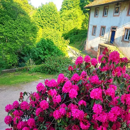 La Demeure Des Forges Apartman *