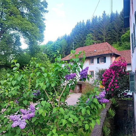 La Demeure Des Forges Daire Grandfontaine (Bas-Rhin)
